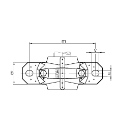 FAG直立式轴承座 SNV100-L + 1309-K-TVH-C3 + H309X109 + TSV609, 根据 DIN 736/DIN737 标准的主要尺寸，剖分，带锥孔和紧定套的自调心球轴承，迷宫密封，脂和油润滑