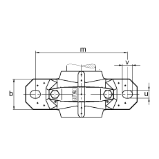 FAG直立式轴承座 SNV170-L + 2219-M + TSV219, 根据 DIN 738/DIN739 标准的主要尺寸，剖分，带圆柱孔和紧定套的自调心球轴承，迷宫密封，脂和油润滑